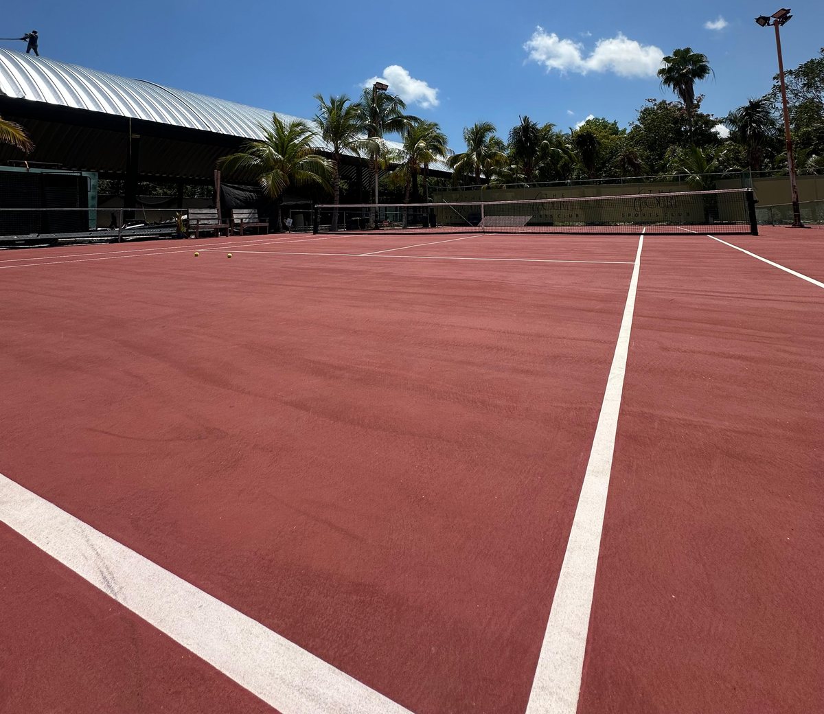 Canchas The Court palmas